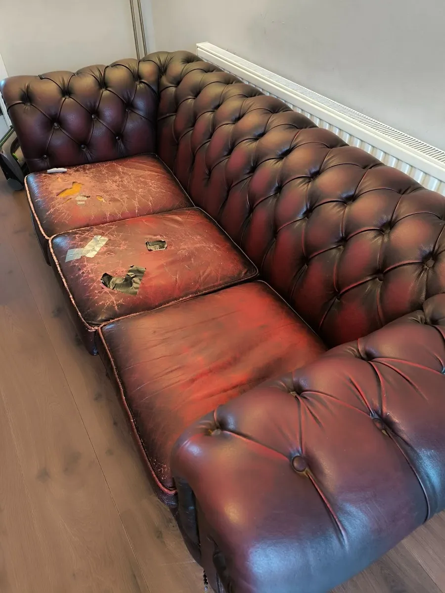 Vintage leather Chesterfield sofa. - Image 2
