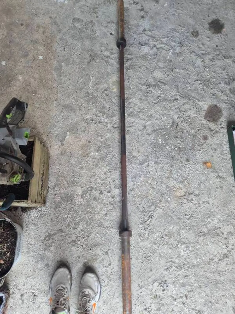 Gym mats, plates, bar - Image 1