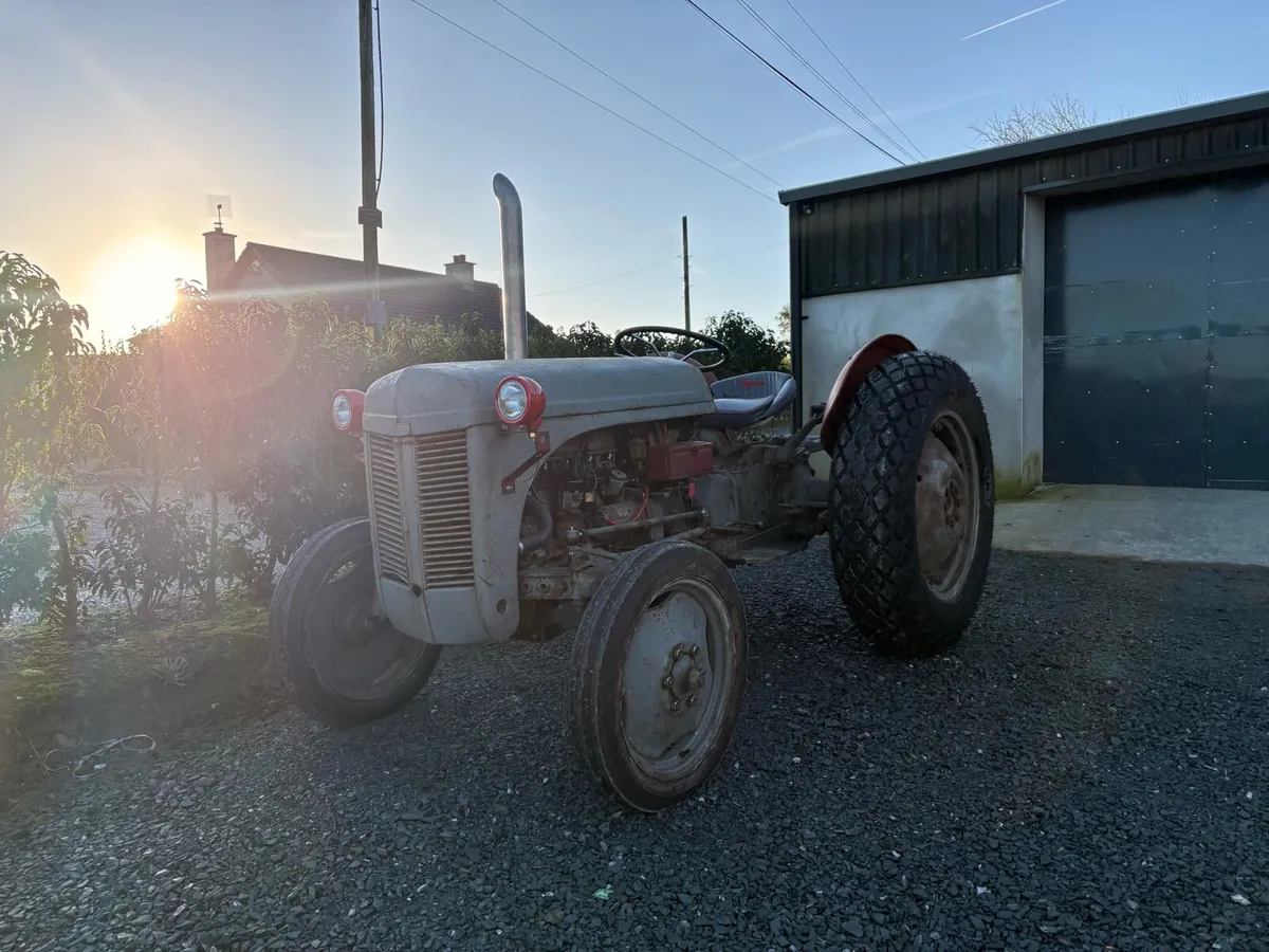 Ferguson 20 TVO - Image 2
