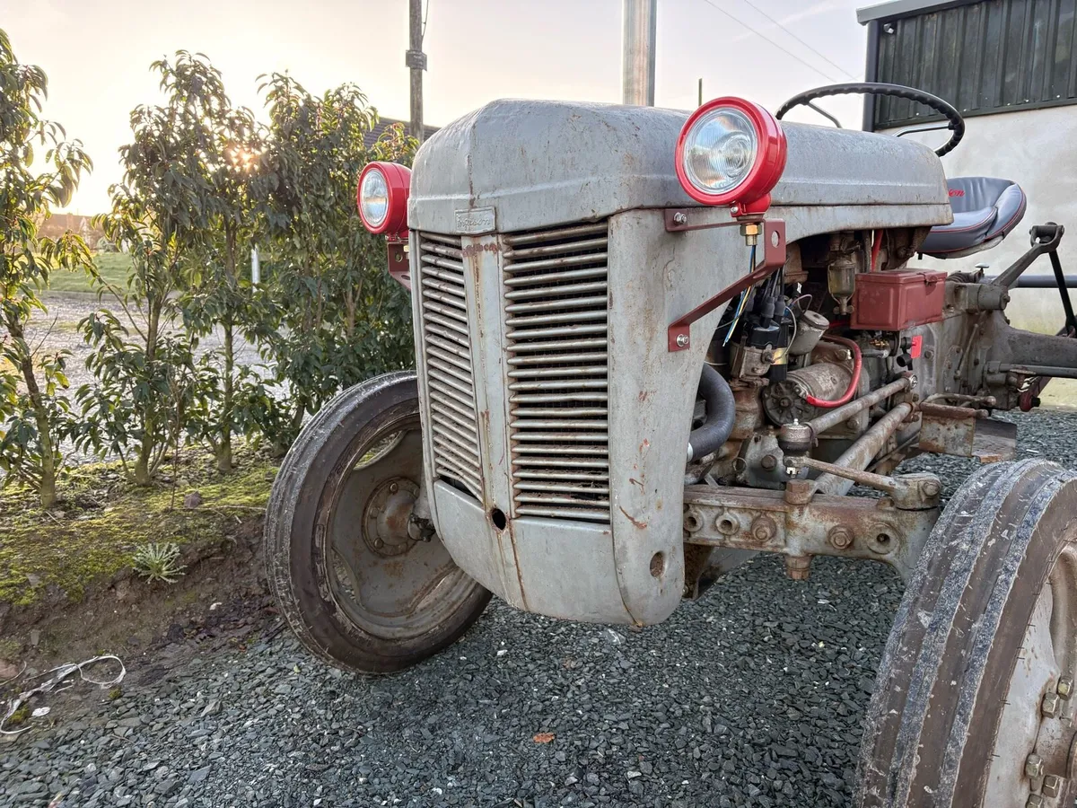 Ferguson 20 TVO - Image 4