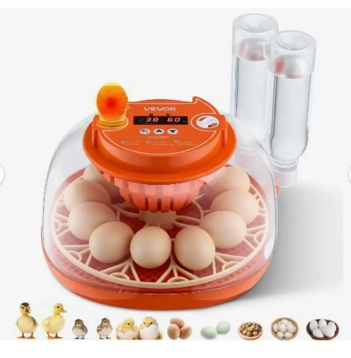 12 Egg Incubator, Automatic Egg Turner - Image 1