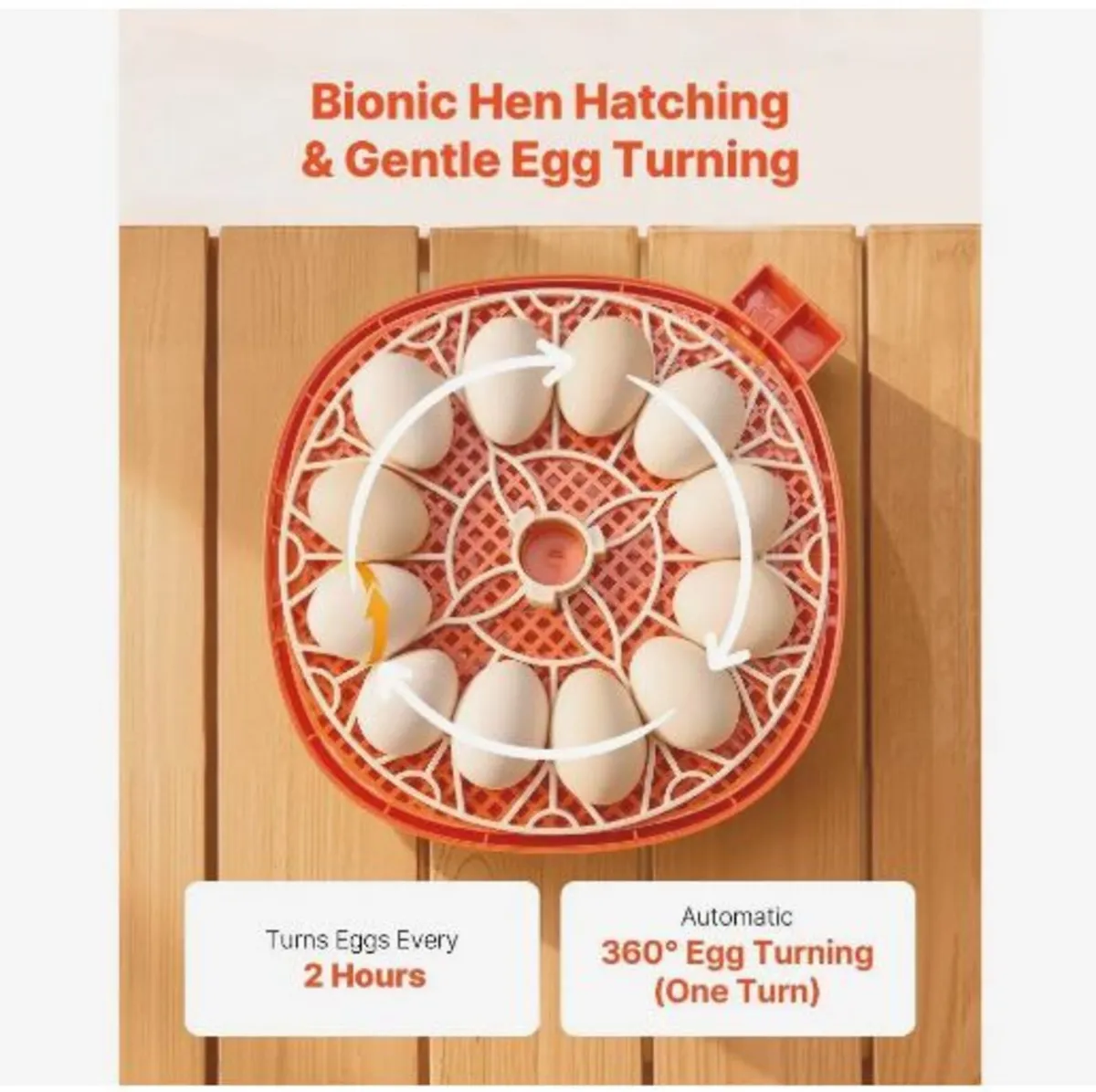 12 Egg Incubator, Automatic Egg Turner - Image 2