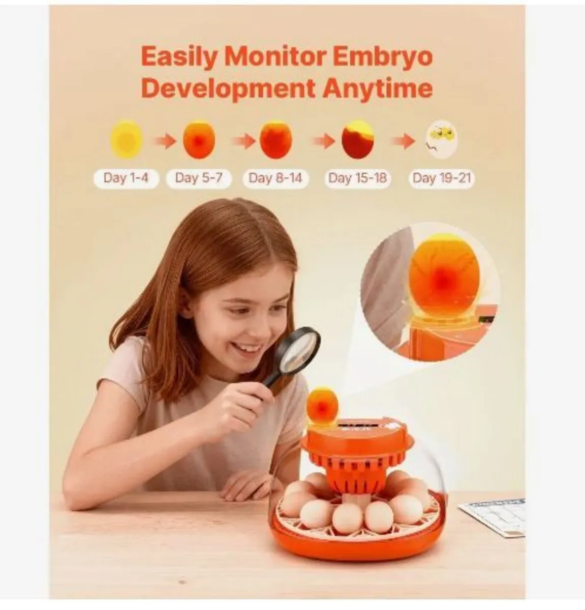 12 Egg Incubator, Automatic Egg Turner - Image 3