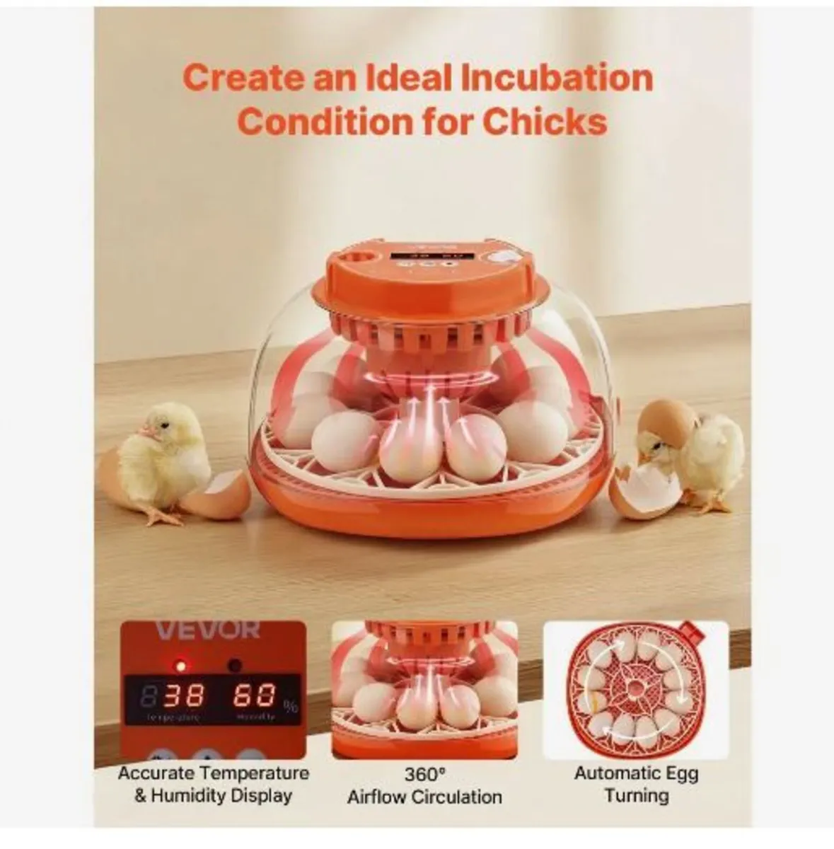 12 Egg Incubator, Automatic Egg Turner - Image 4