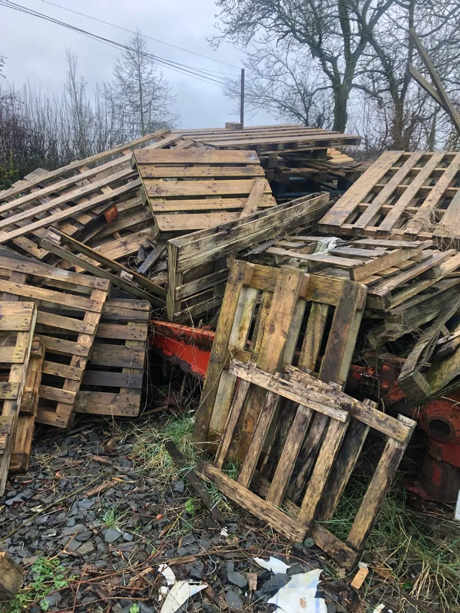 Pallets  / kindling