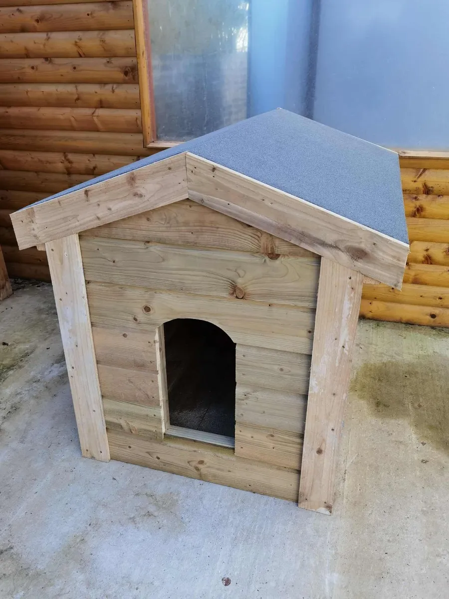 For sale /large size - Image 1