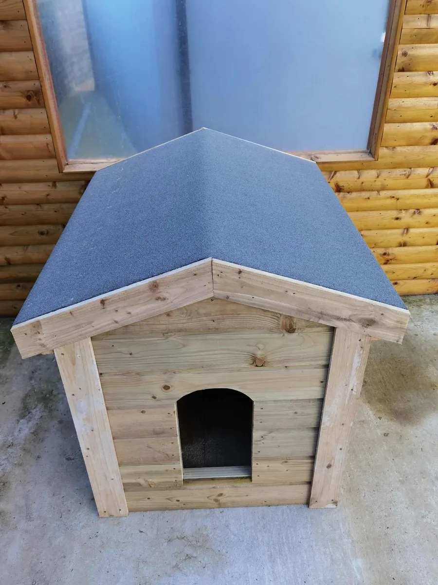 For sale /large size - Image 3