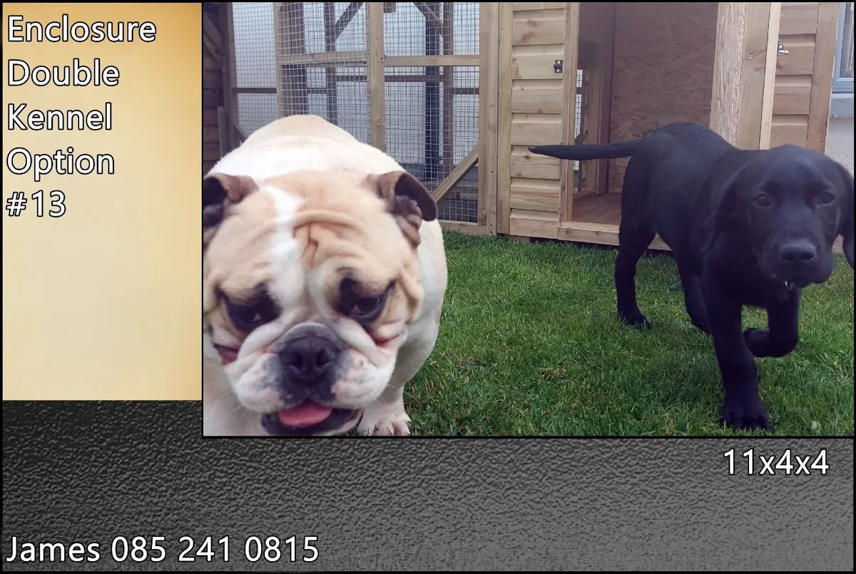 Dog Box With Enclosure - Image 4