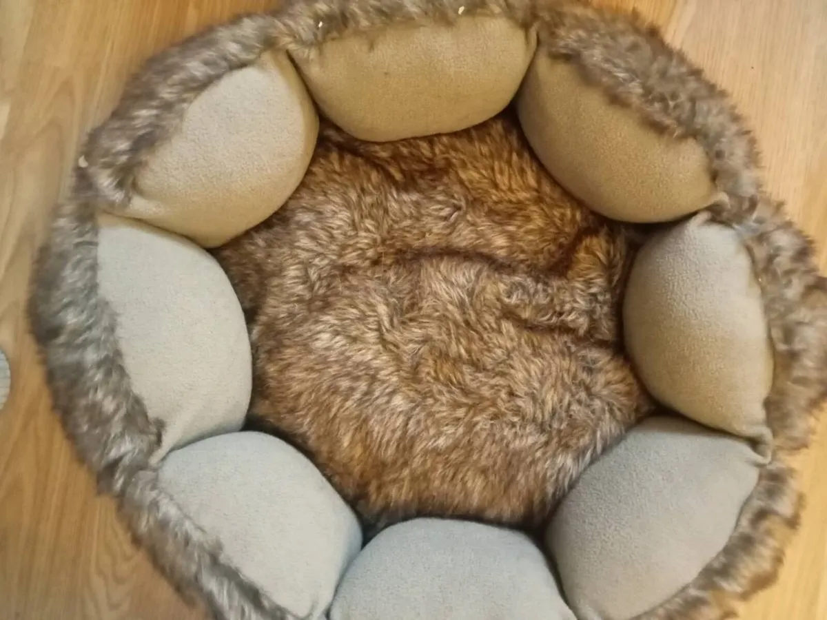 New luxury cat bed