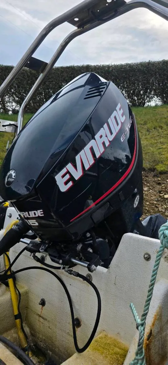 Evinrude etec 115hp outboard - Image 1