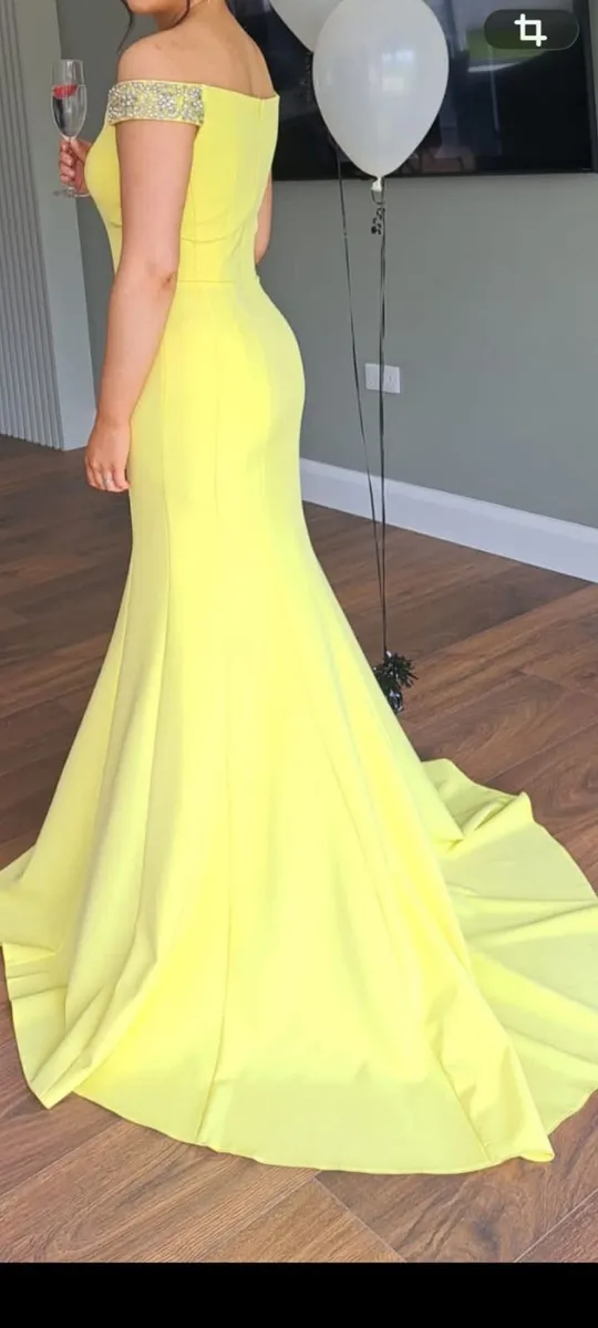 DANI's Closet  - Debs Dress - Image 2