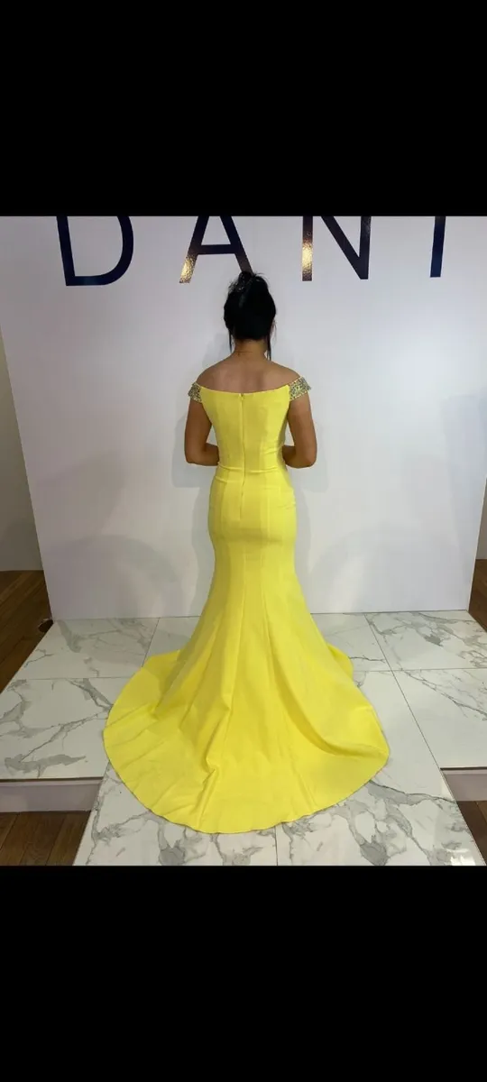 DANI's Closet  - Debs Dress - Image 4