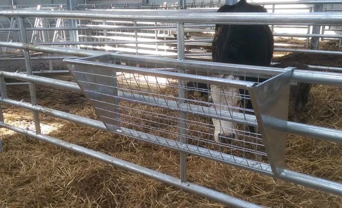 Calf transporter - Image 4