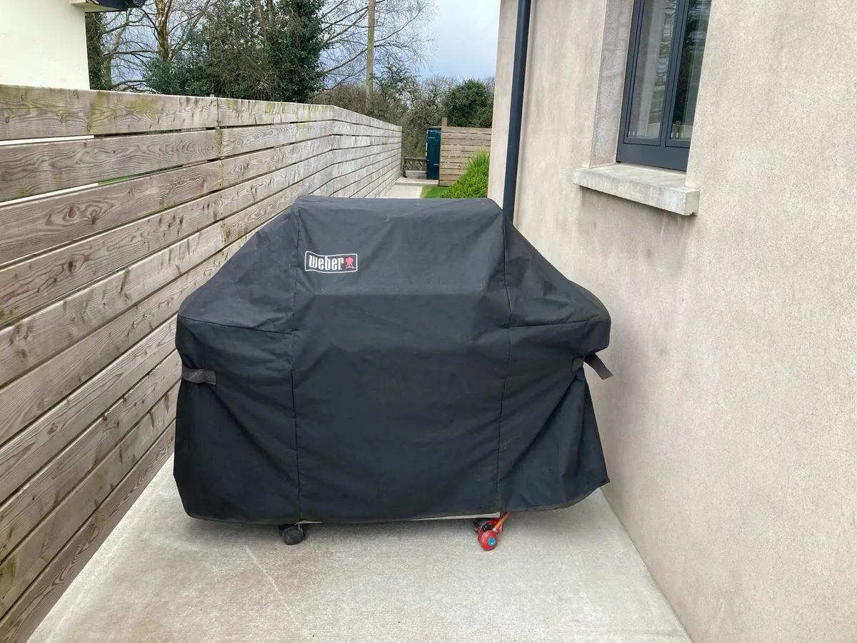 Weber genesis BBQ - Image 1