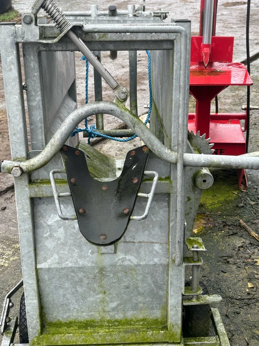 Calf dehorning crate - Image 3