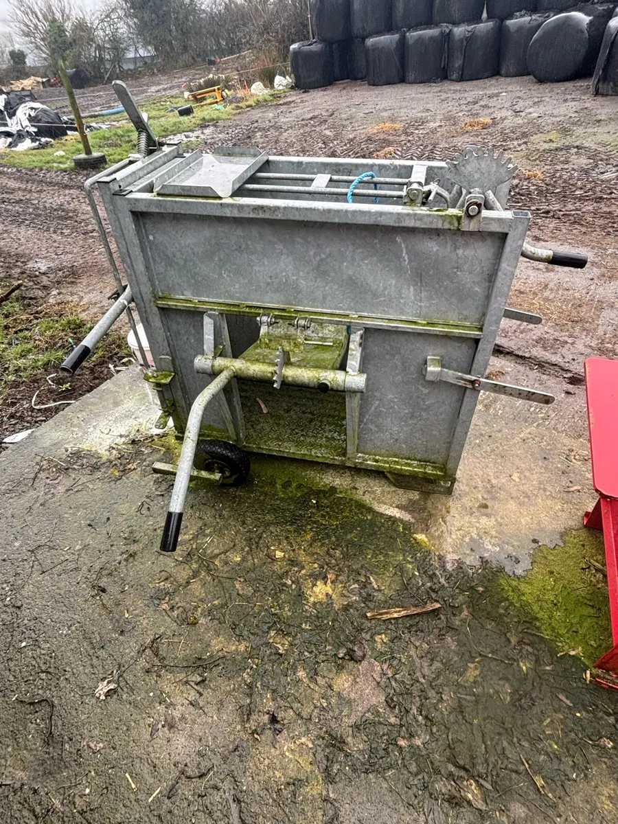 Calf de horning crate - Image 4