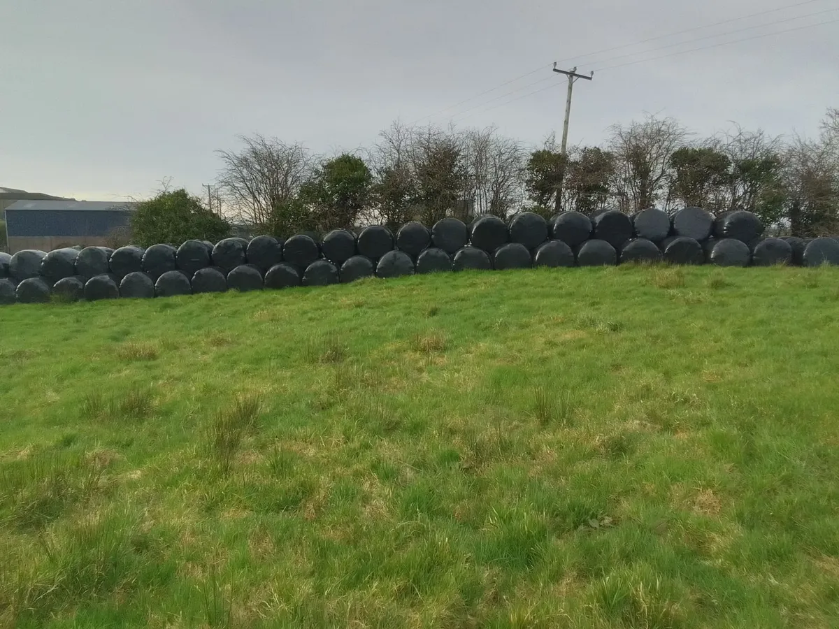 Silage bales - Image 1