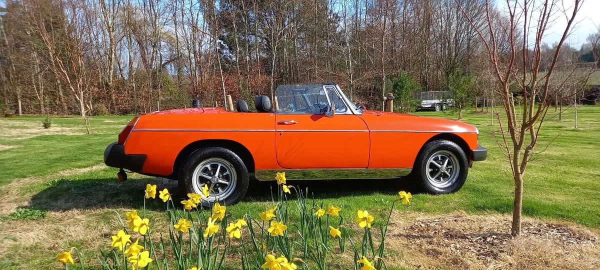 MGB Roadster - Image 3
