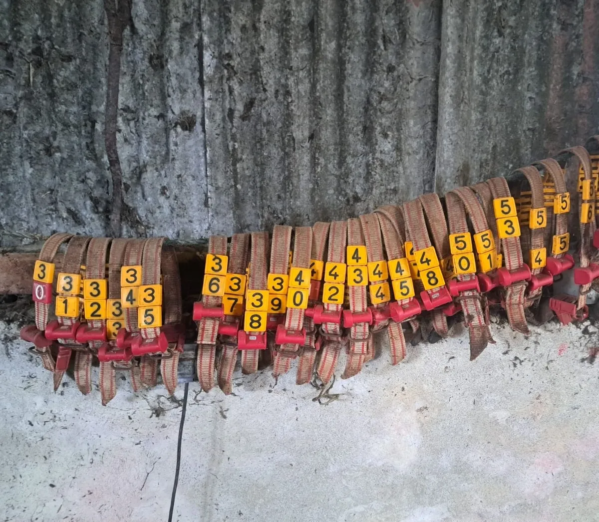 Urban U40 Calf Feeder - Image 3