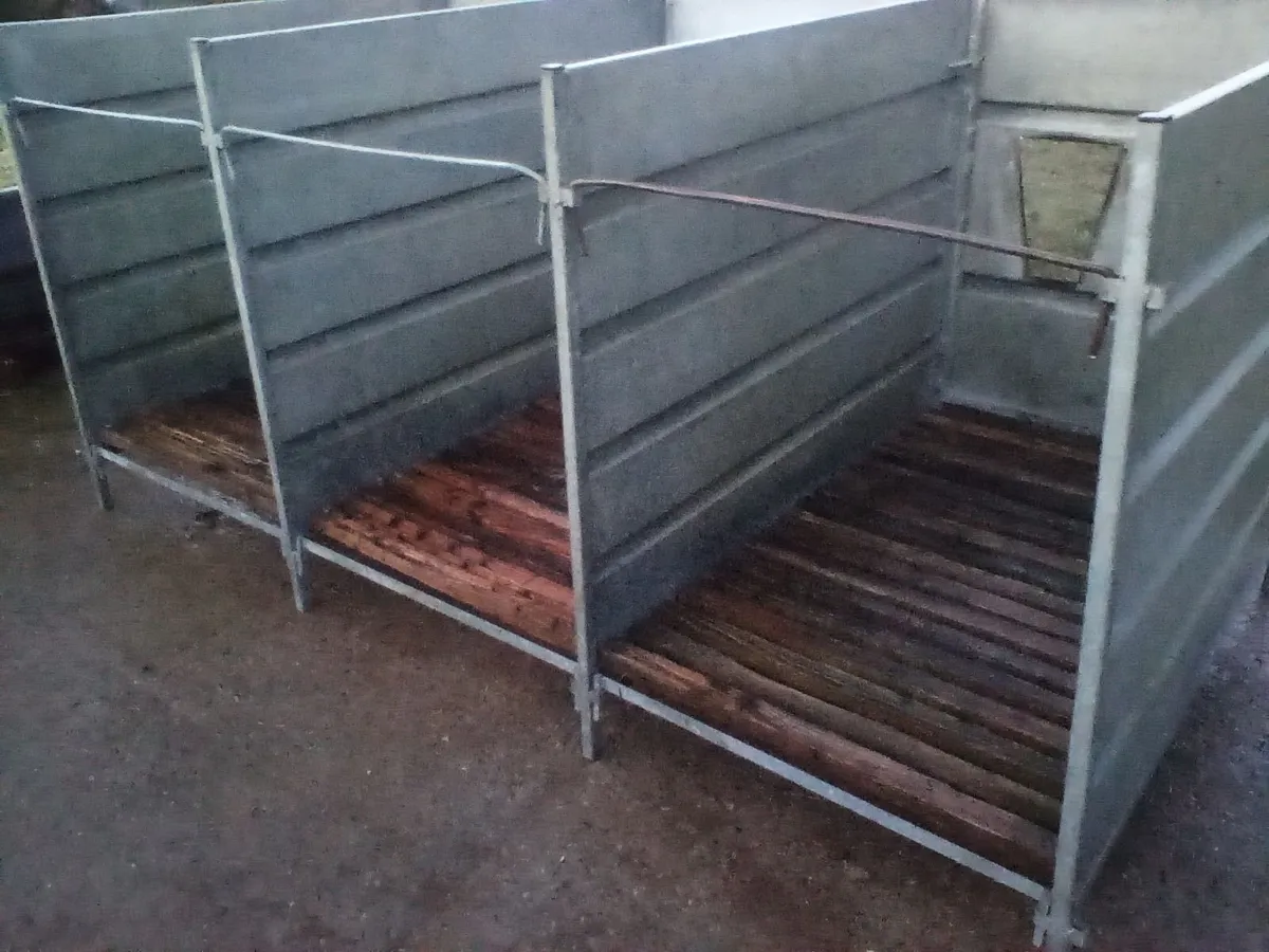 Single calf pens with slats - Image 4