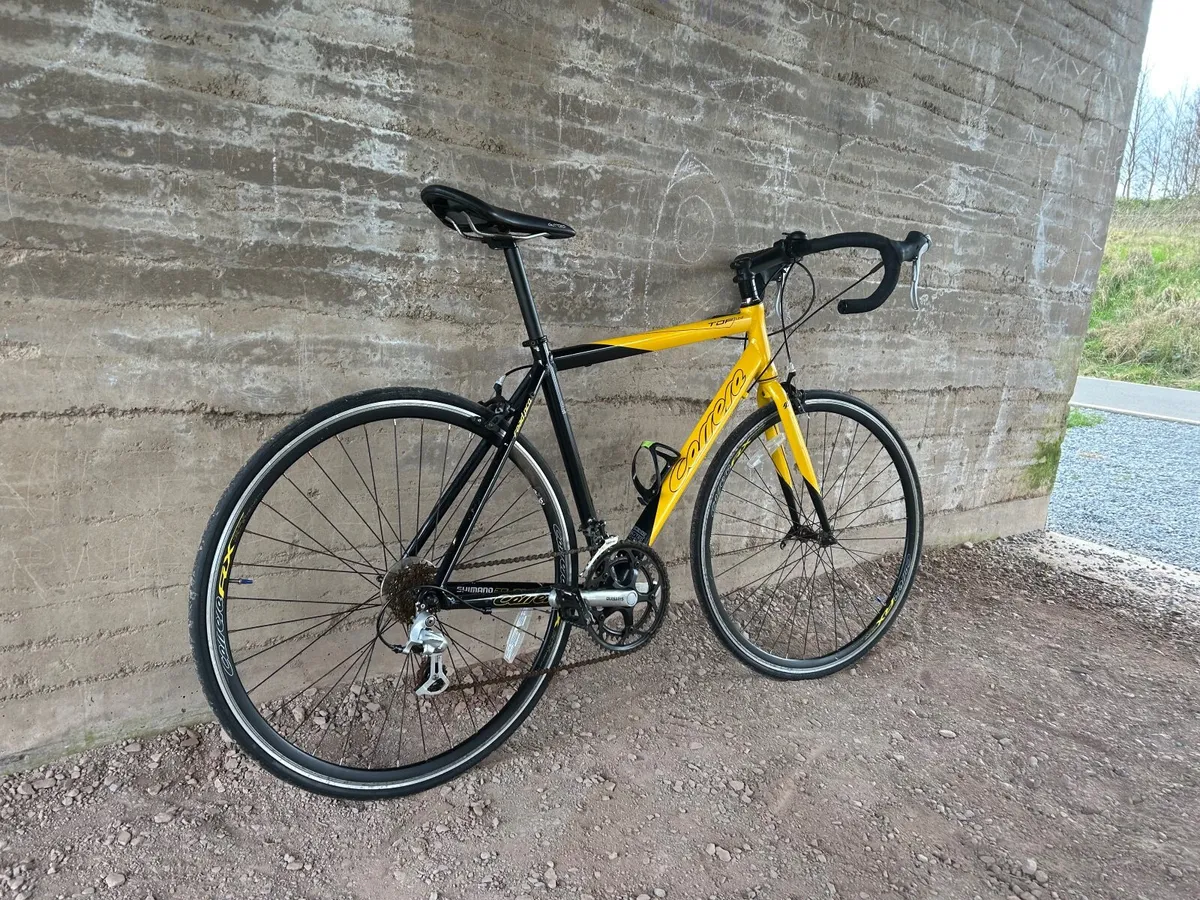 Adult bike - Image 2