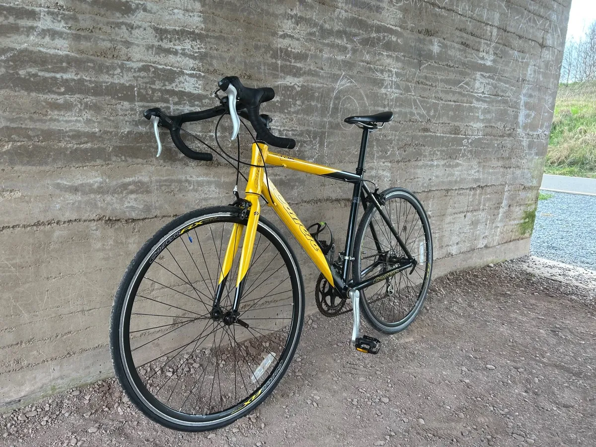 Adult bike - Image 4
