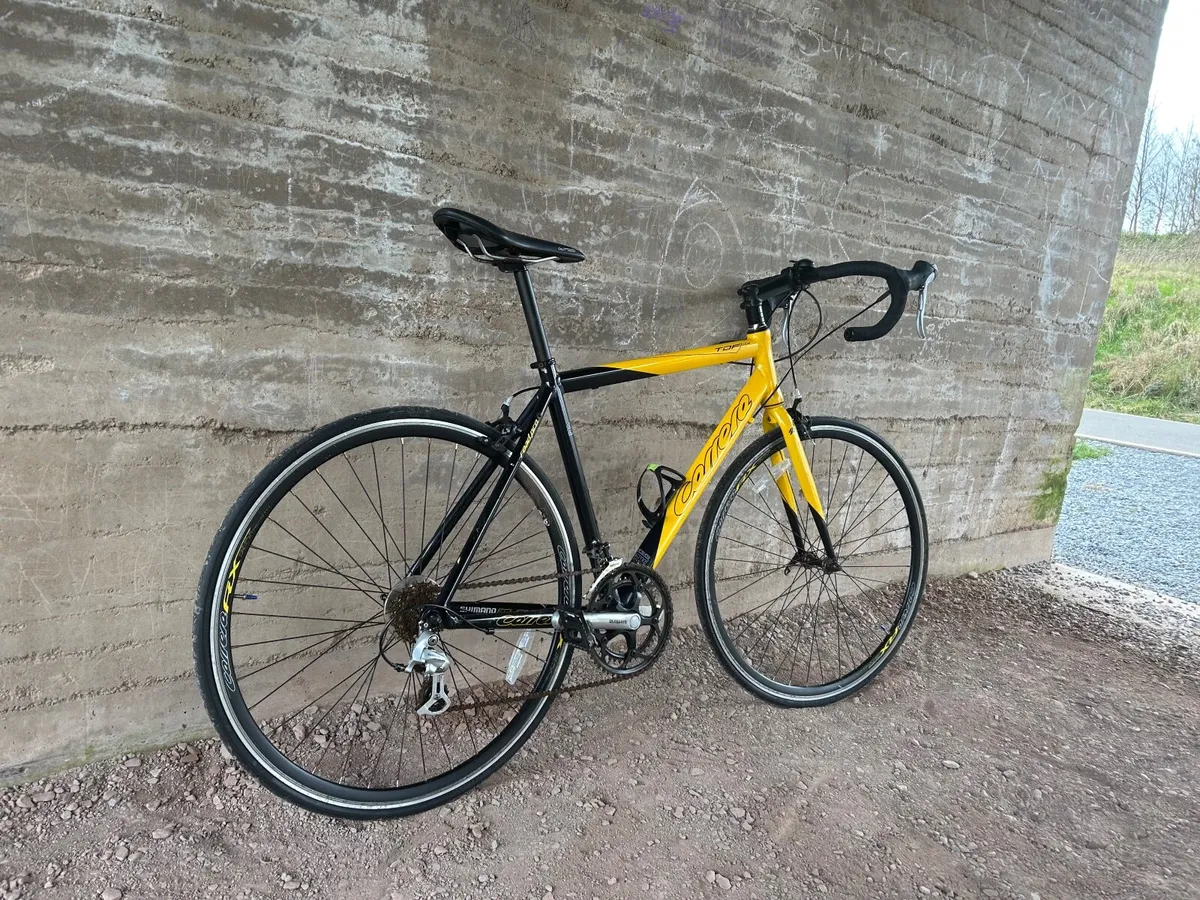 Adult bike - Image 1