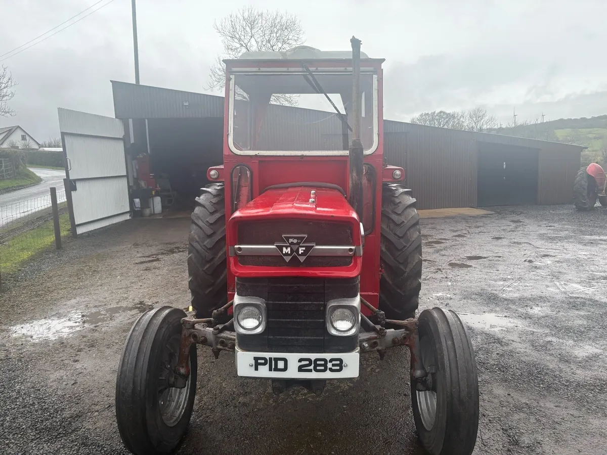 Massey Ferguson 135 - Image 2