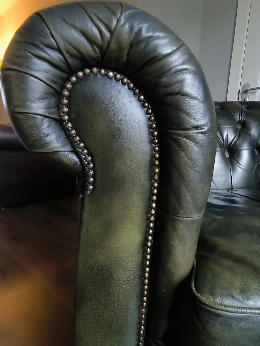 Genuine leather Chesterfield armchair - Image 3