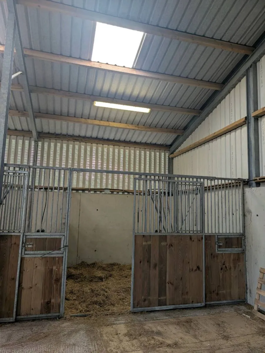 Chival Liberté Insert Stables - Image 2