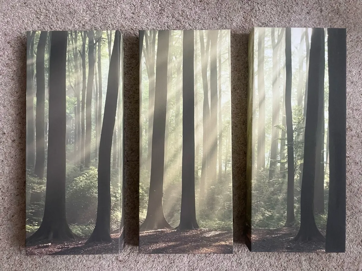 Triptych forest canvas wall art - Image 1