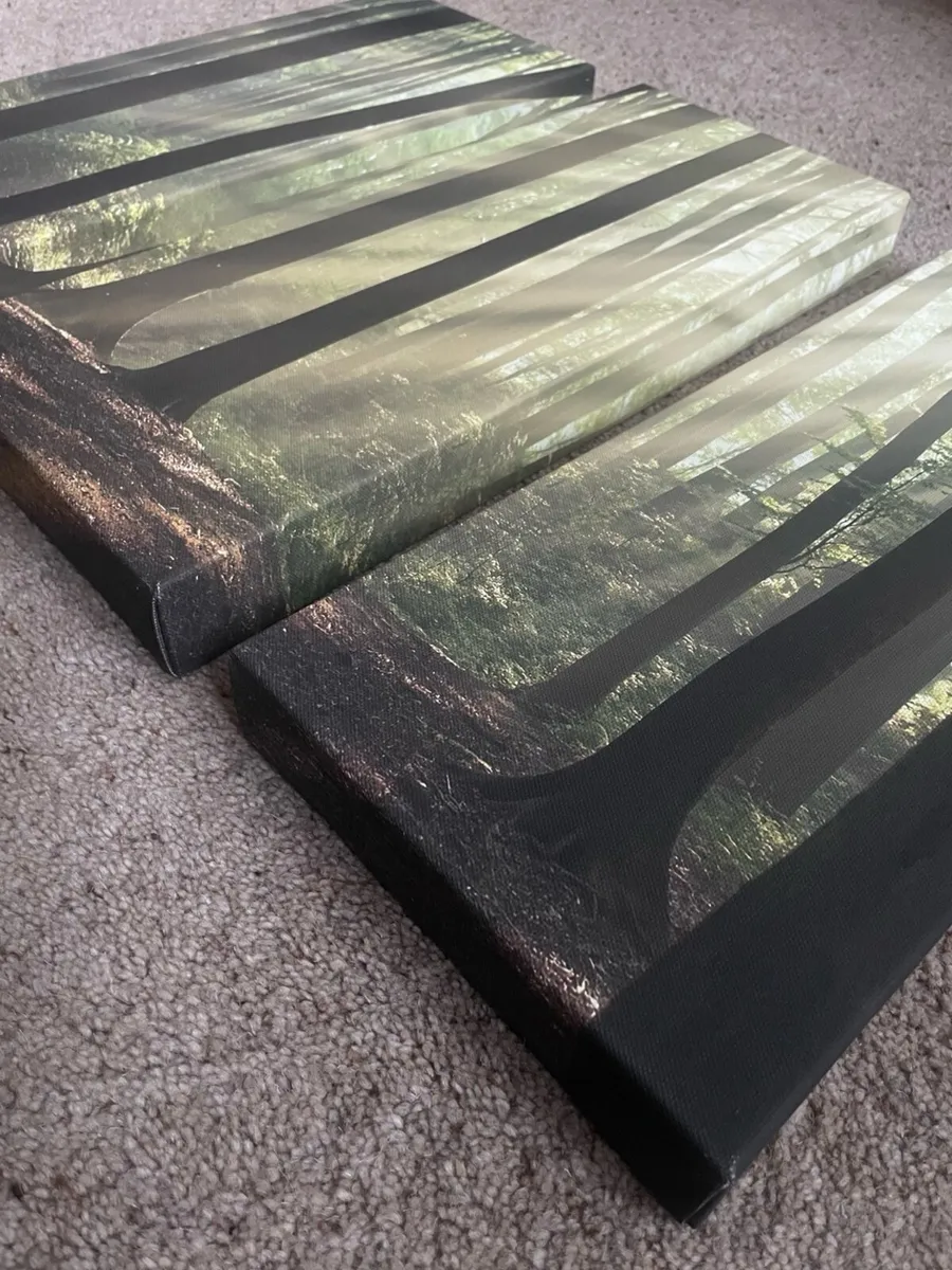 Triptych forest canvas wall art - Image 2