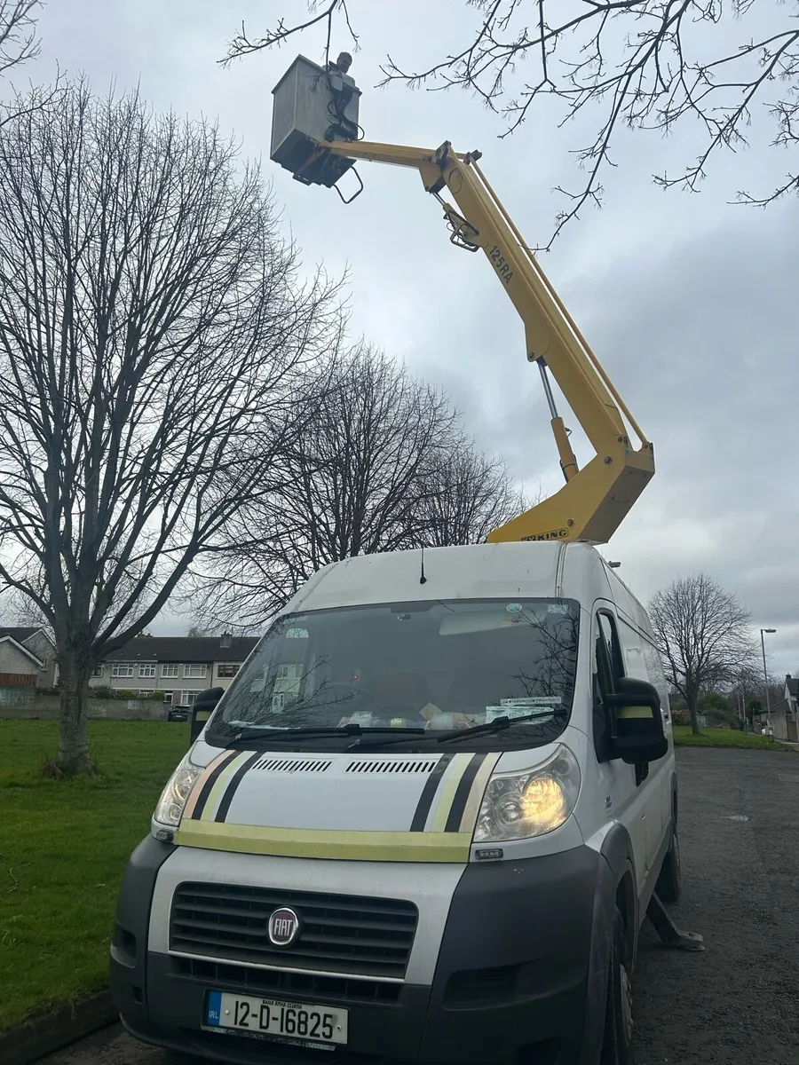 Fiat crane - Image 1