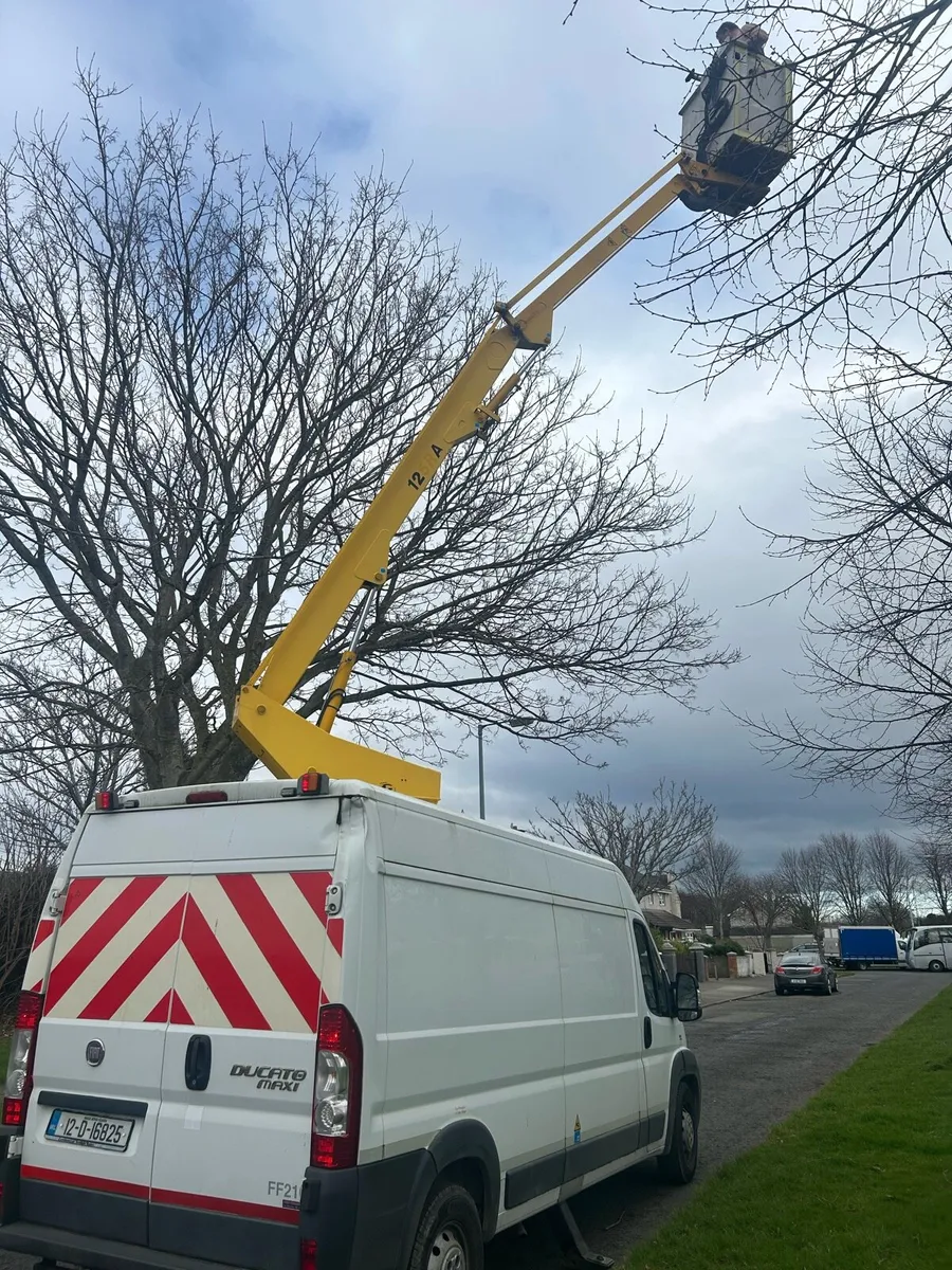 Fiat crane - Image 4