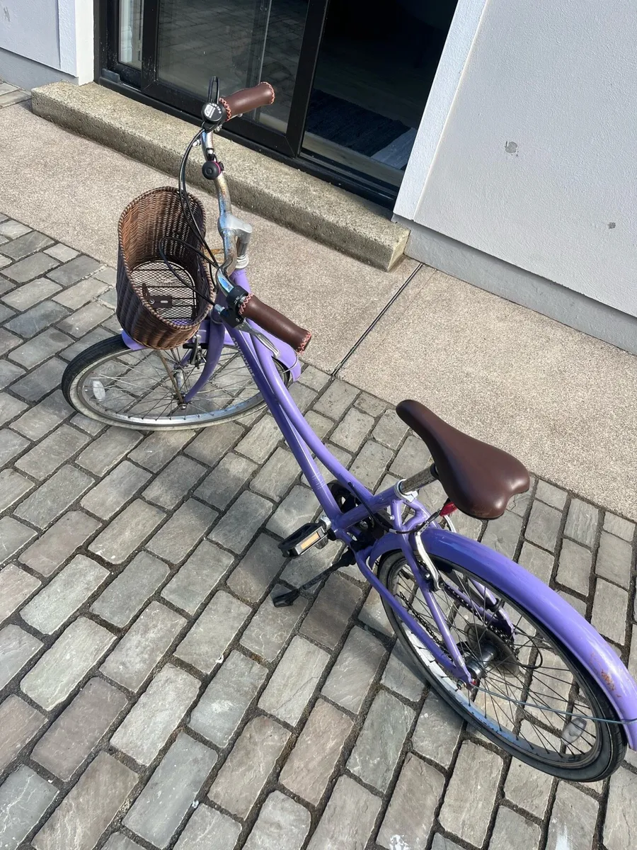 24” Adventure Retro Girl Bicycle - Image 2