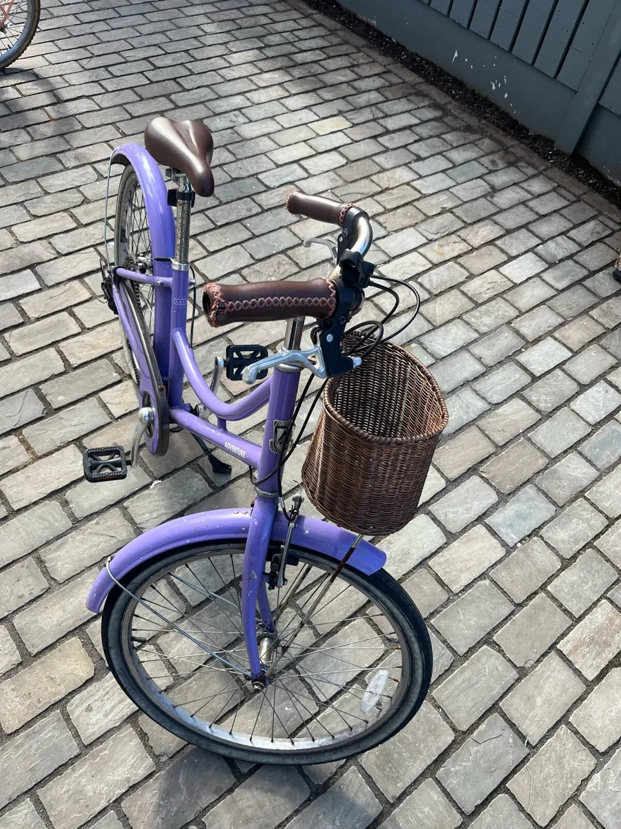 24” Adventure Retro Girl Bicycle - Image 3