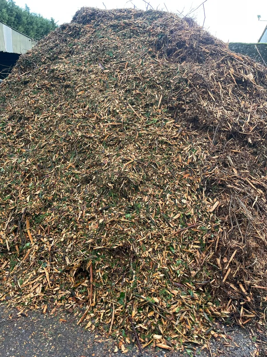 wood chip - Image 1