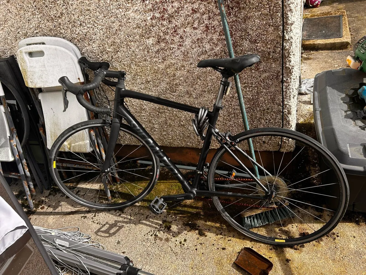 Road bike (specialised ) black light frame - Image 1