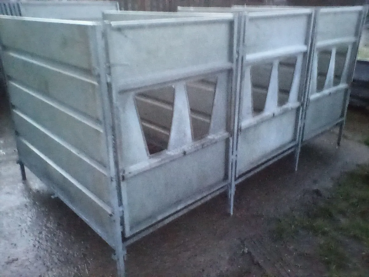 Single calf pens with slats - Image 1