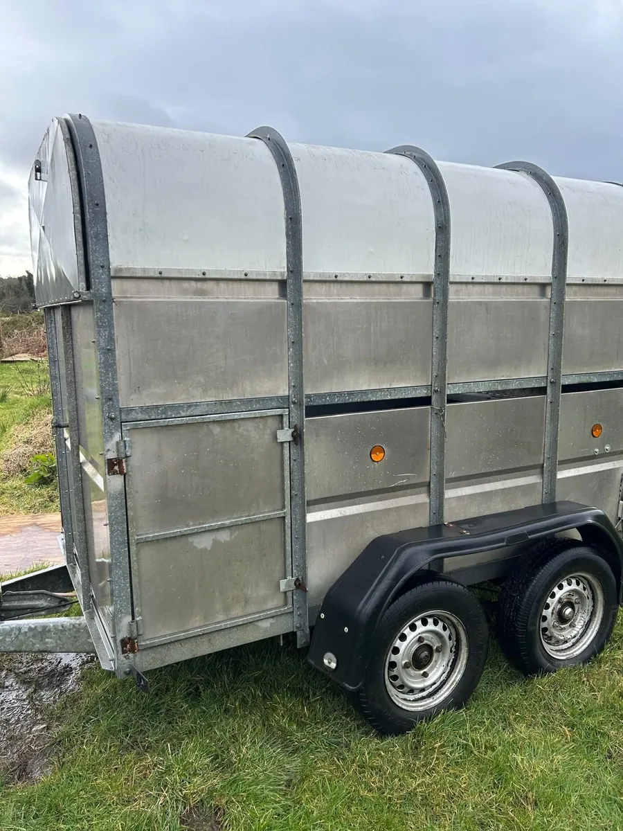 8x5 Murphy Trailer - Image 1