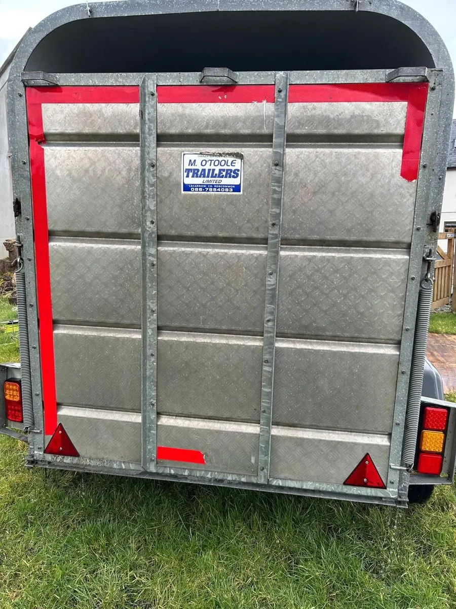 8x5 Murphy Trailer - Image 3