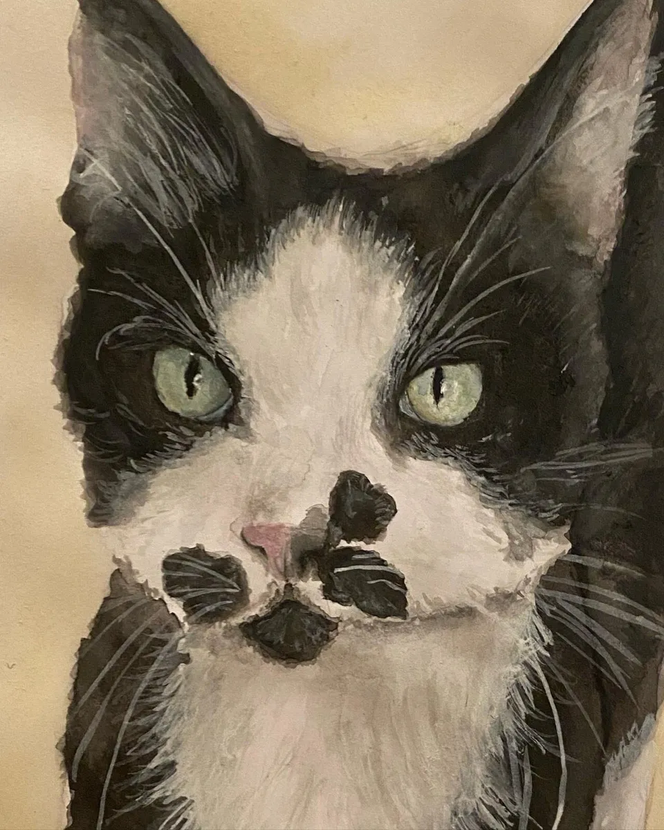 Pet portraits - Image 3