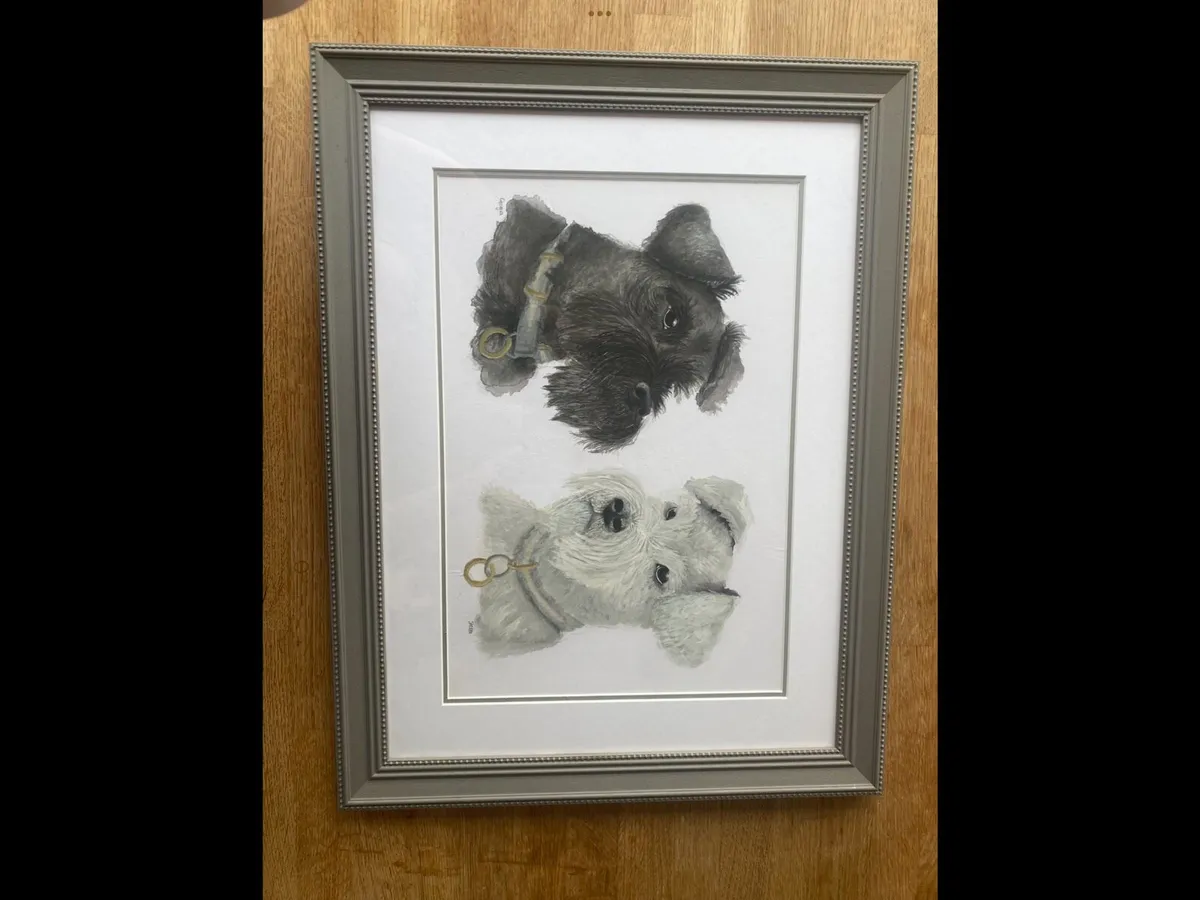 Pet portraits - Image 4