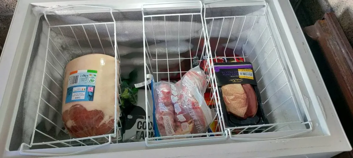 Chest freezer - Image 2