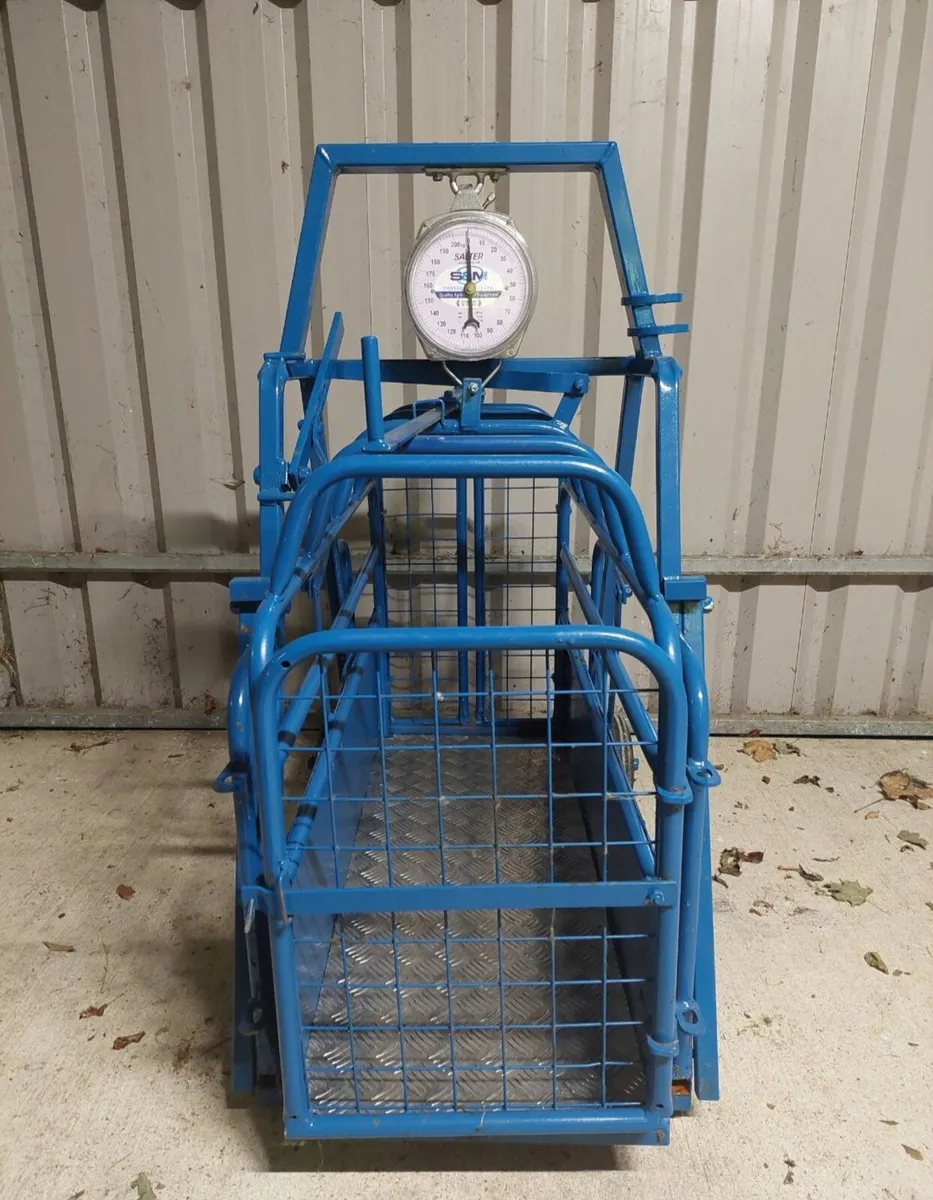 Lamb weigh bridge - Image 1