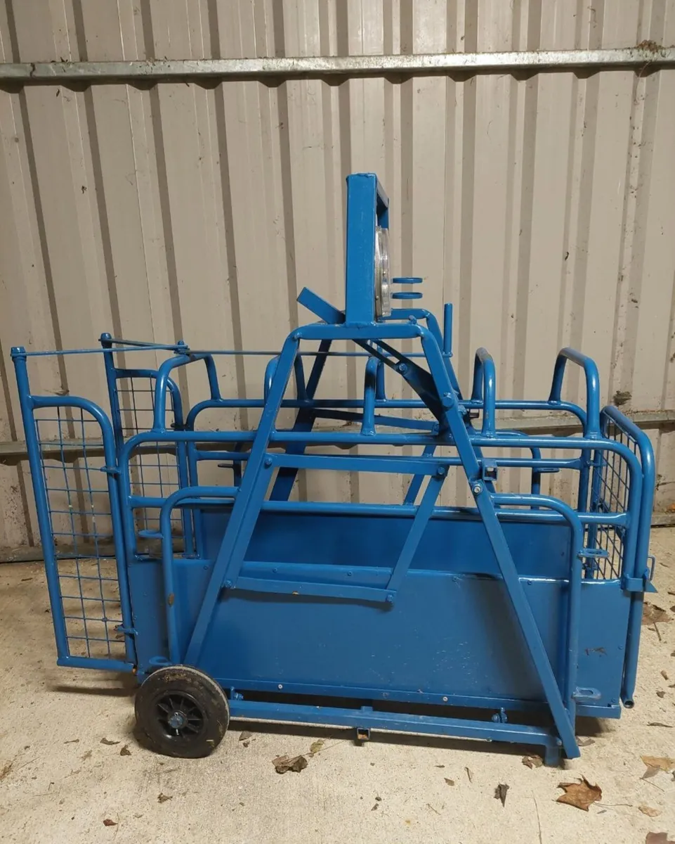 Lamb weigh bridge - Image 3