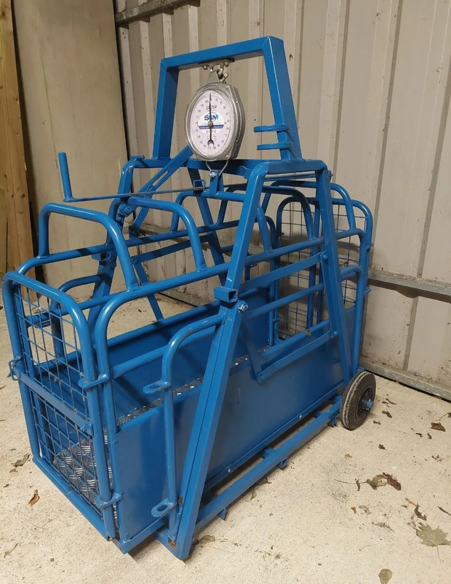 Lamb weigh bridge - Image 2