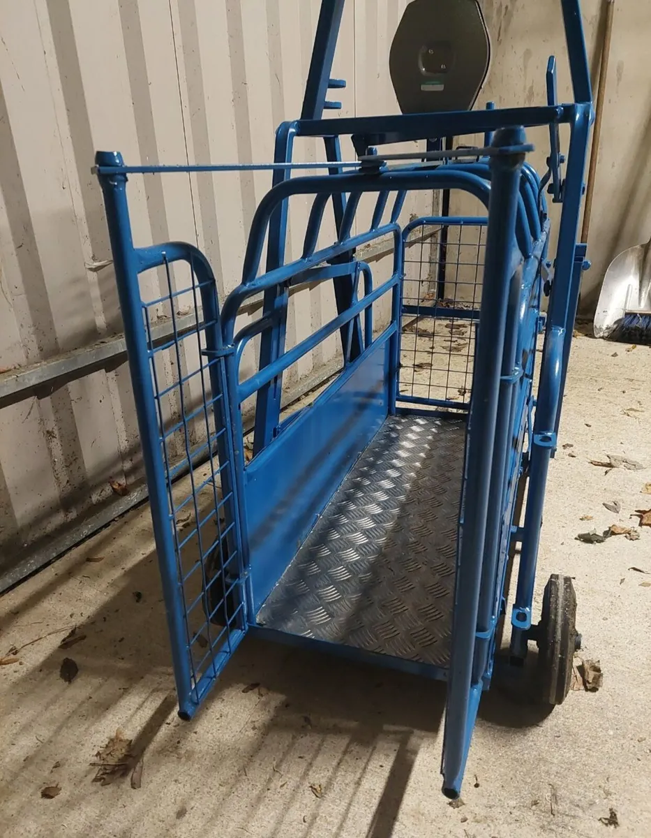 Lamb weigh bridge - Image 4