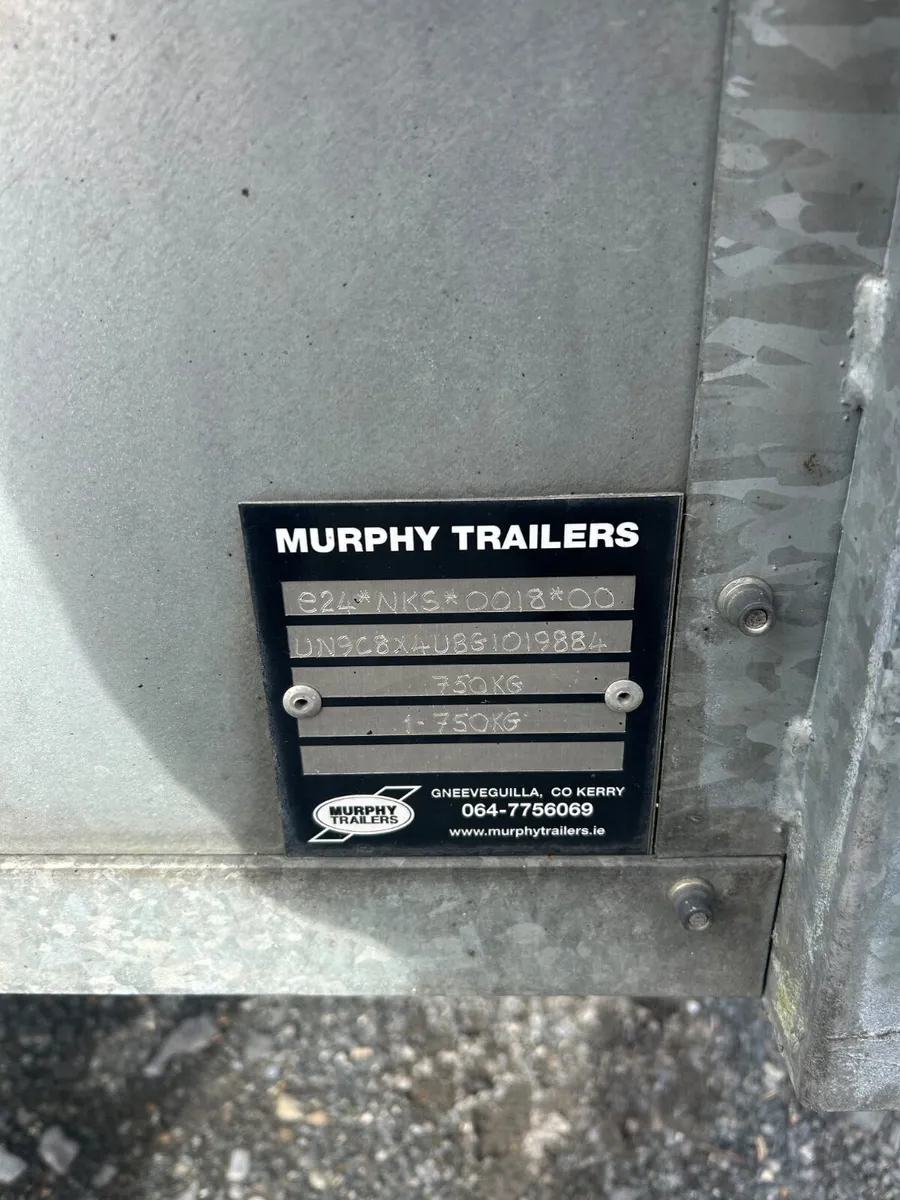 8x4 Single Axle Trailer with Mesh and Ramp - Image 2