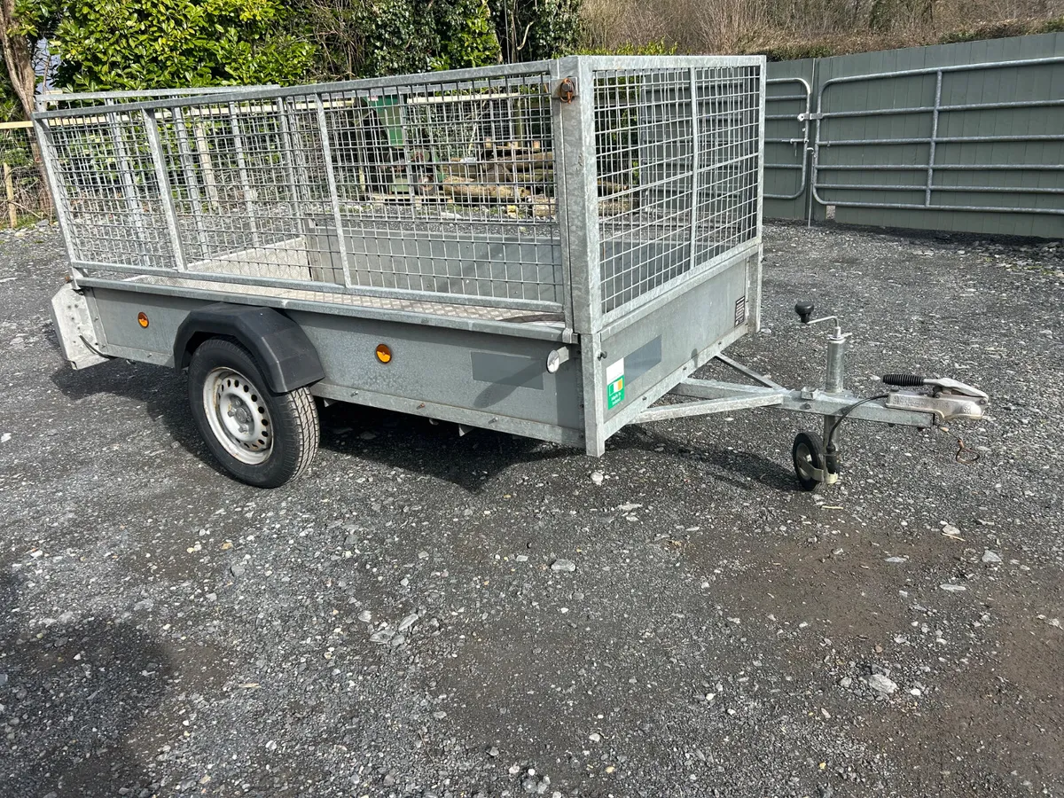 8x4 Single Axle Trailer with Mesh and Ramp - Image 3